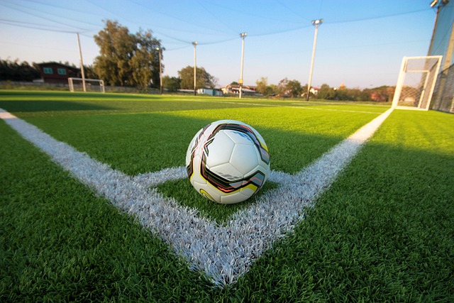的价值